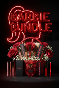 Big Barbie Bundle